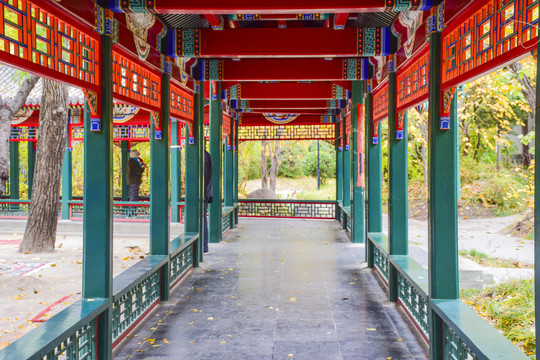 北京紫竹院公园传统园林亭廊