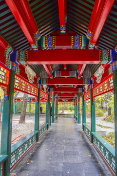 北京紫竹院公园传统园林亭廊