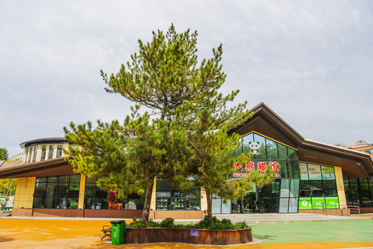 鞍山动物园大熊猫馆与树木