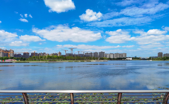 上海之鱼风景区