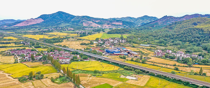 繁昌孙村