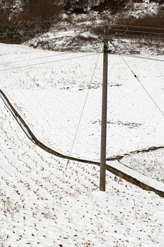 冬季积雪覆盖农田
