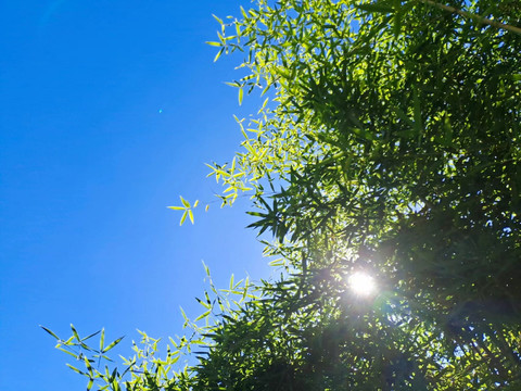 夏日晴空