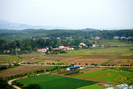 山区农田房屋