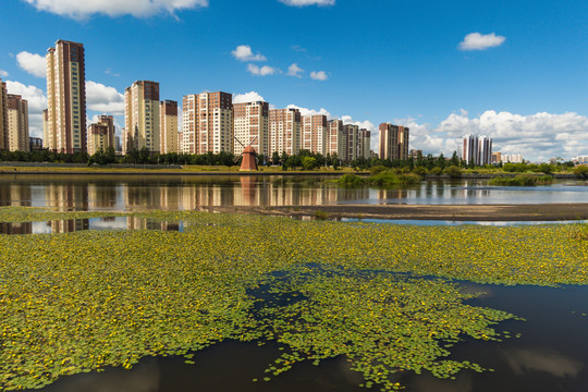 城市河边建筑群