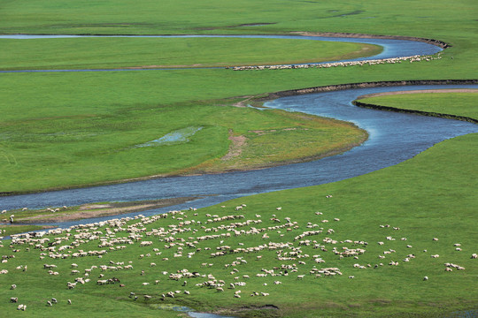草原牧场夏季河流羊群