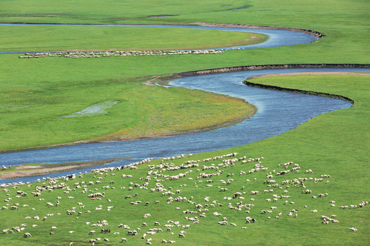 草原夏天牧场河流羊群