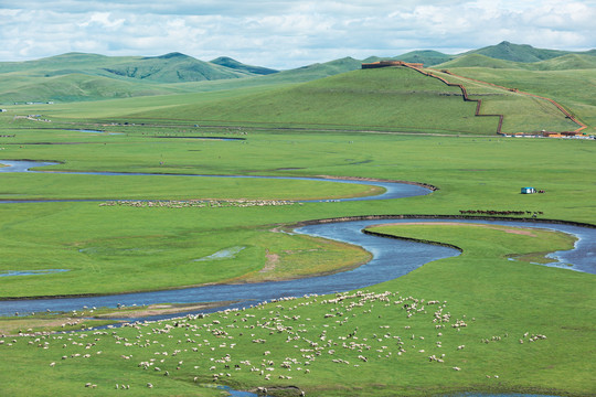草原牧场羊群河流马群
