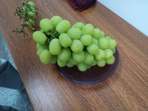 葡萄