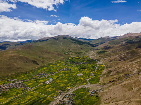 鸟瞰西藏羊湖景区耕地航拍