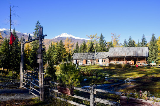 新疆喀纳斯村庄风景