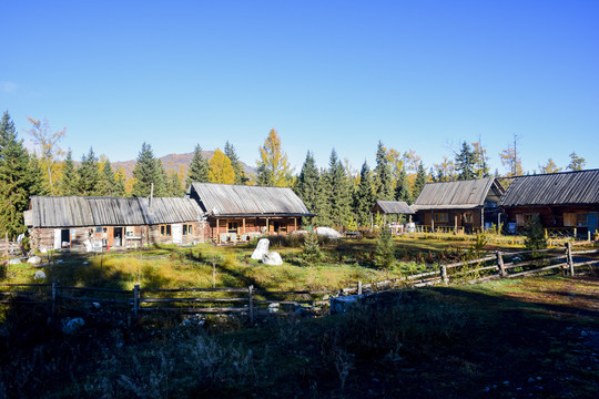 新疆喀纳斯村庄风景