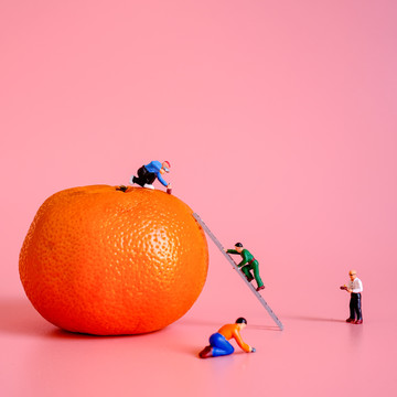 创意沃柑和橘子
