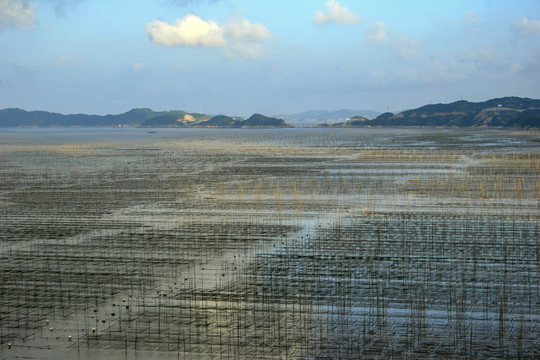 浙江省洞头县滩涂养殖