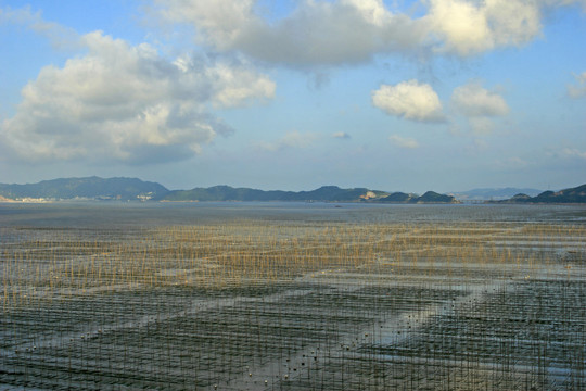 浙江省洞头县滩涂养殖