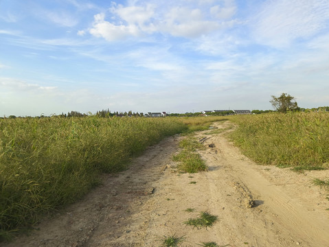 荒滩草地泥巴路