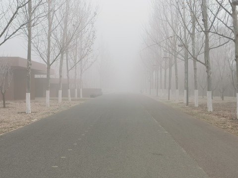 大雾的街道