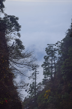 四川峨眉山云海