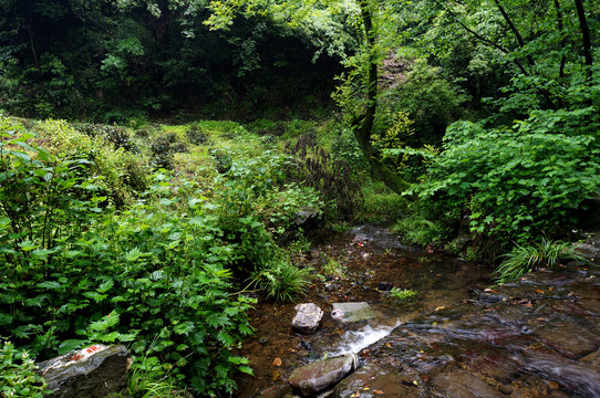 杭州九溪十八湾茶叶村