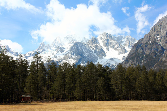 云南玉龙雪山牦牛坪风景