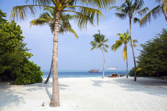马尔代夫神仙珊瑚岛马代海边