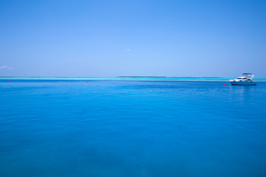 马尔代夫神仙珊瑚岛马代海