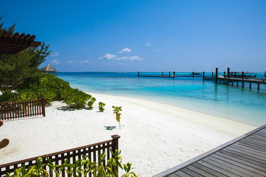 马尔代夫神仙珊瑚岛马代海边