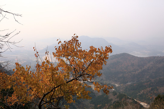 北京秋季景色莽山红叶拍摄