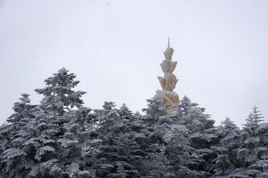 四川冬季雪景大雪峨眉山金顶