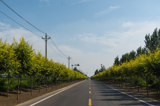 乡村振兴乡村公路国道省道