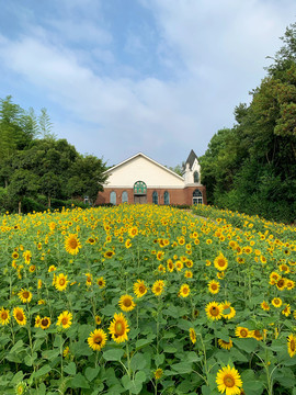 田园小屋