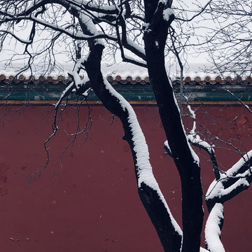 冬日故宫