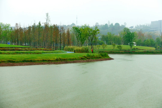 雨中明月湖