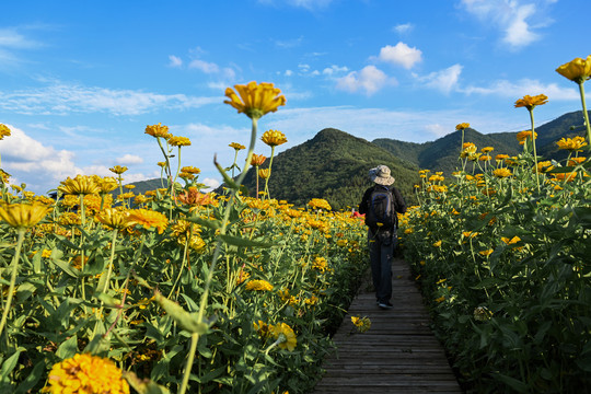 百花园