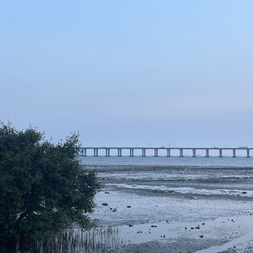 海边滩涂