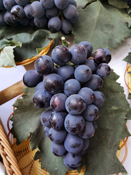 紫黑色巨峰葡萄果实
