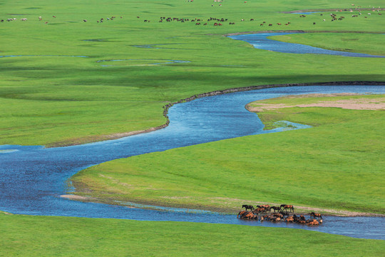 河流草原夏天马群牧场