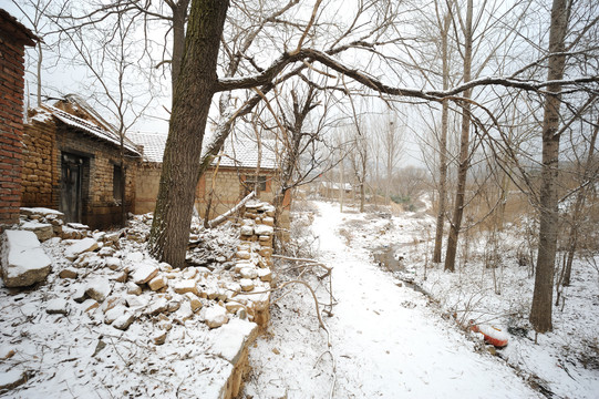 老农村下雪