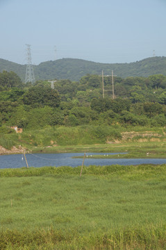 乡村自然草地水塘丘陵