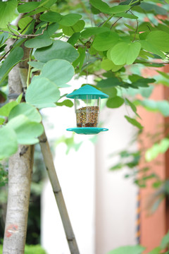 户外悬挂着的自动喂鸟投食器