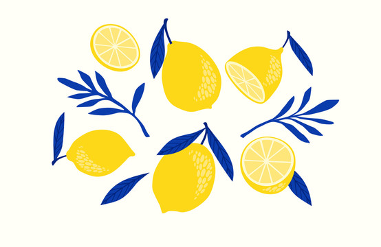 有机随性的柠檬及切片设计插图