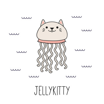 猫咪水母插图