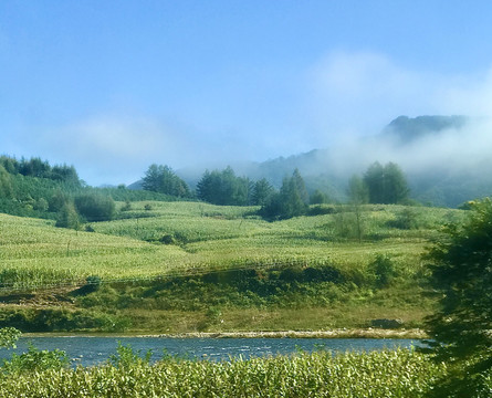 小河流水云遮山