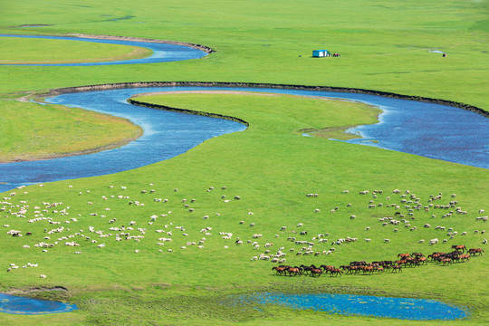 草原河流牧场马群羊群