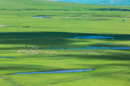 草原蒙古包牧场羊群河流