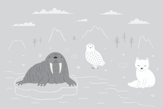冰冷极地动物插图