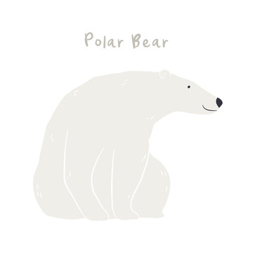 雪白北极熊插图