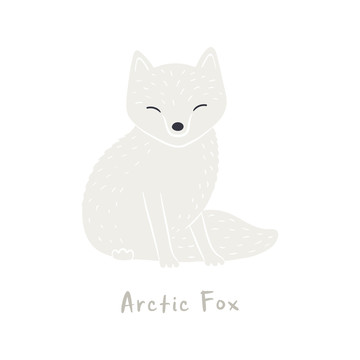 雪白北极狐插图