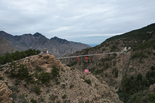 宁夏贺兰山苏峪口原始森林风光