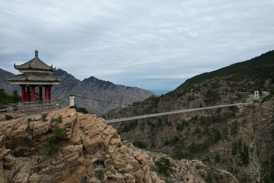 宁夏贺兰山苏峪口原始森林风光